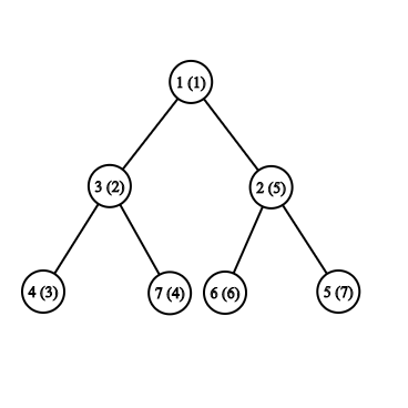 DFS Traversal